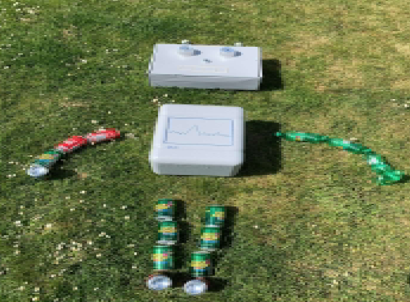 Se karantænekunst her!