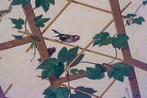 Vandbal 2016 - masser af billeder