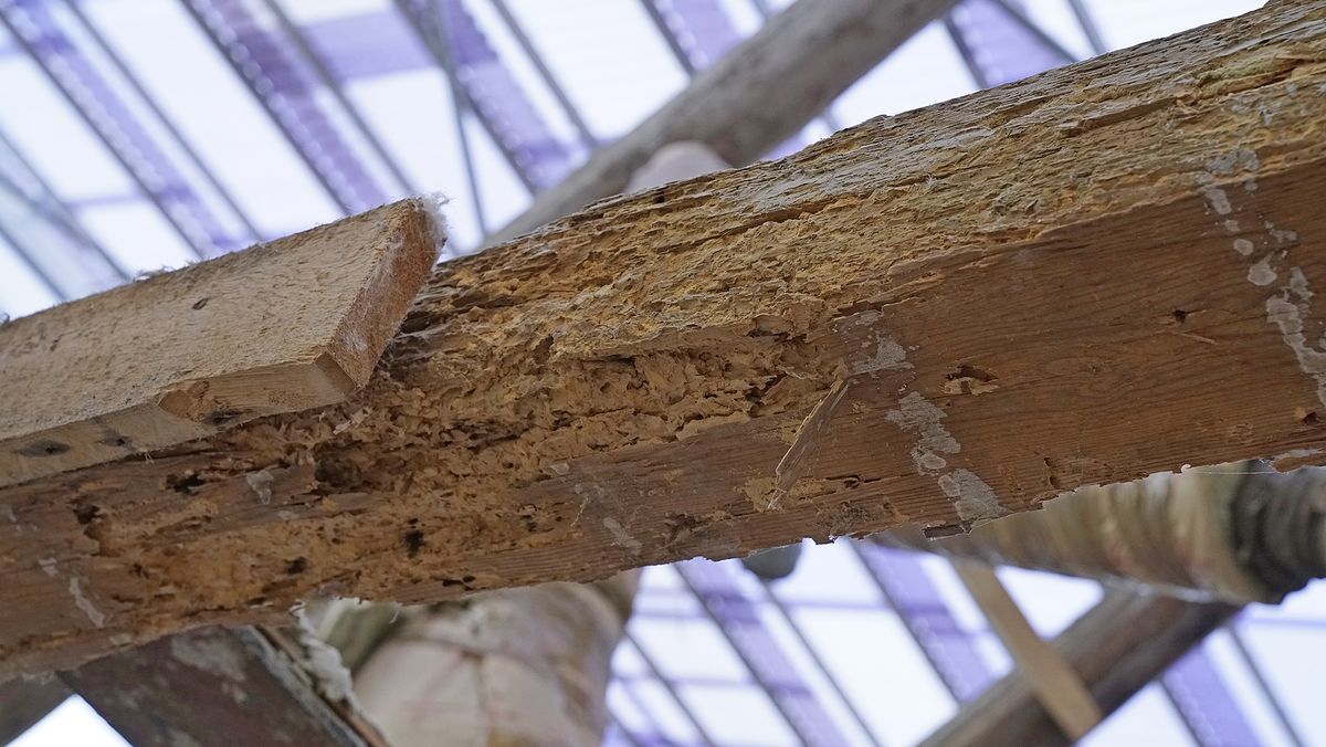 Renovering af Rektorgårdens bagbygning