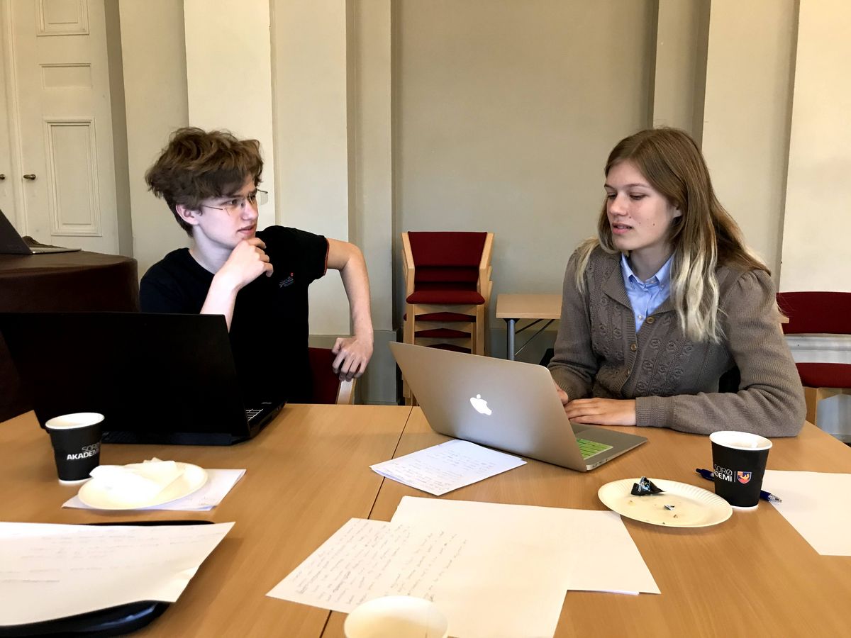 Elever dyster på engelsk