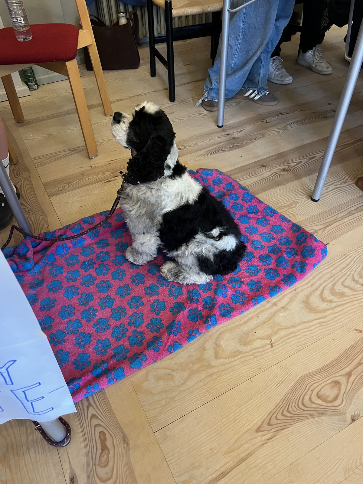 Projektafslutning i EØ