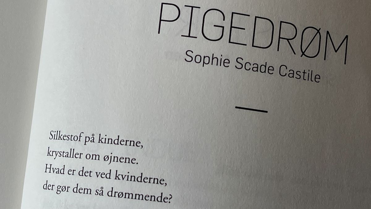 Kreativt skriveværksted og bogudgivelse