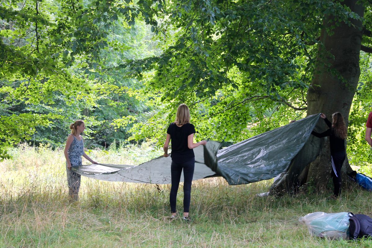 De første billeder fra introuge 2016