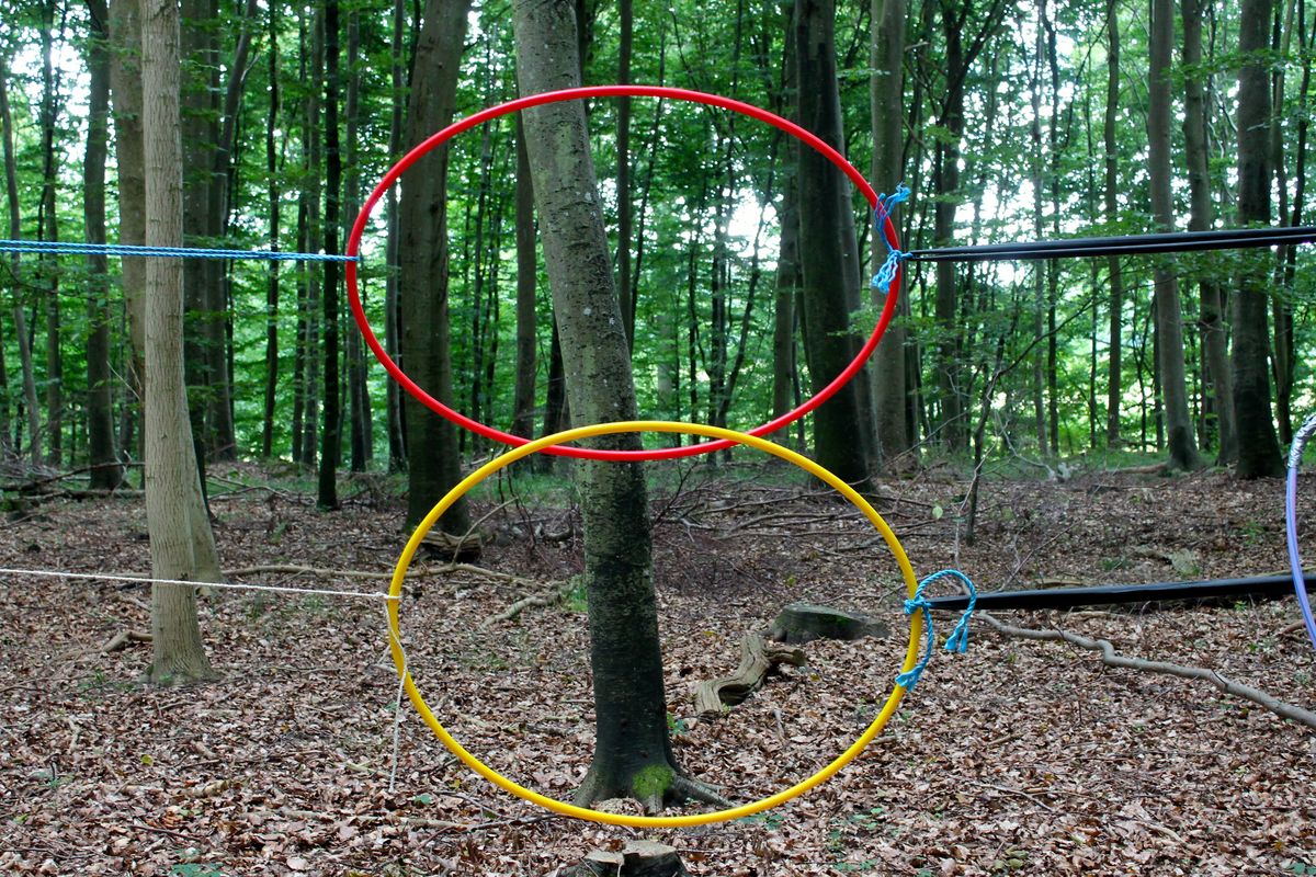 De første billeder fra introuge 2016