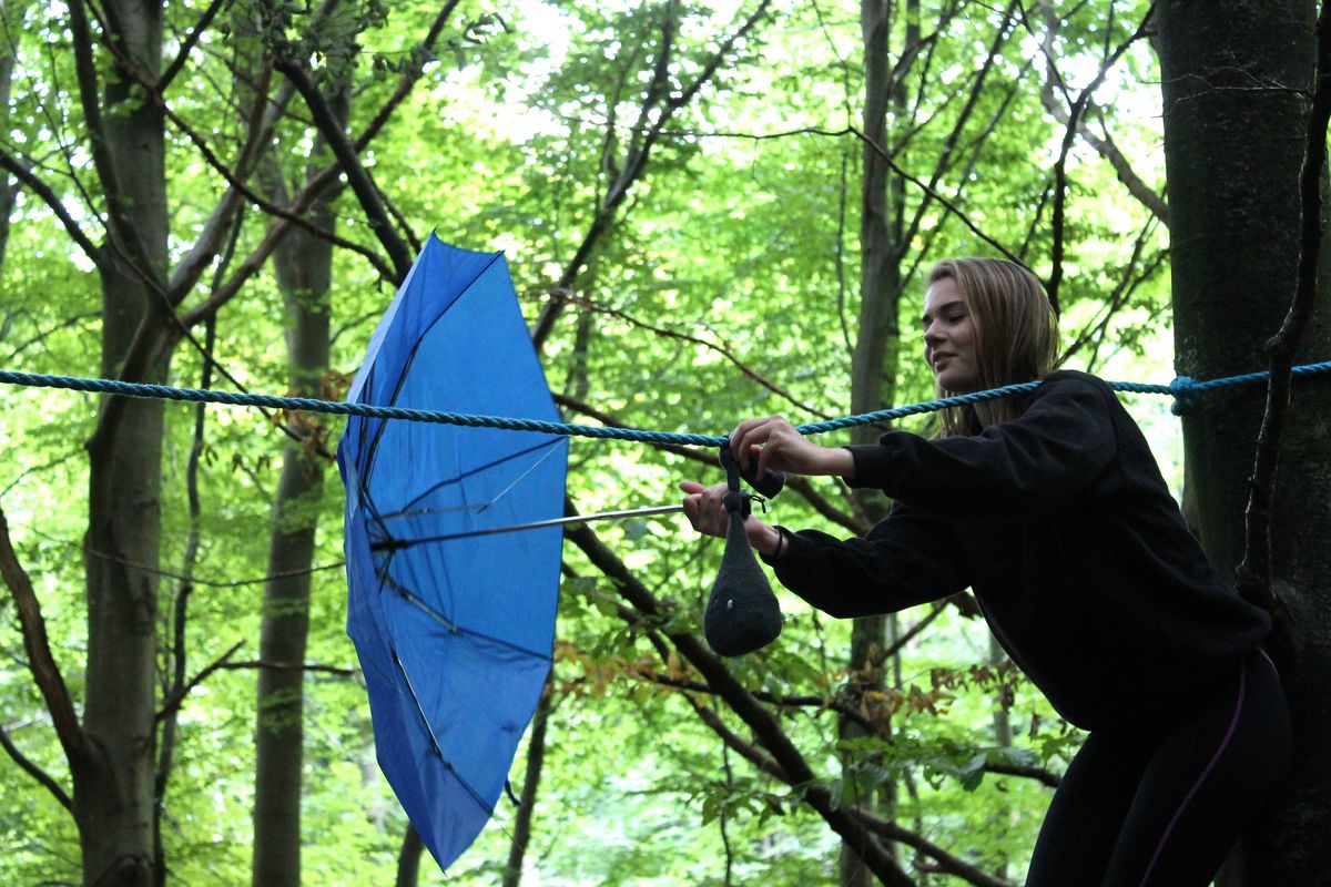 De første billeder fra introuge 2016