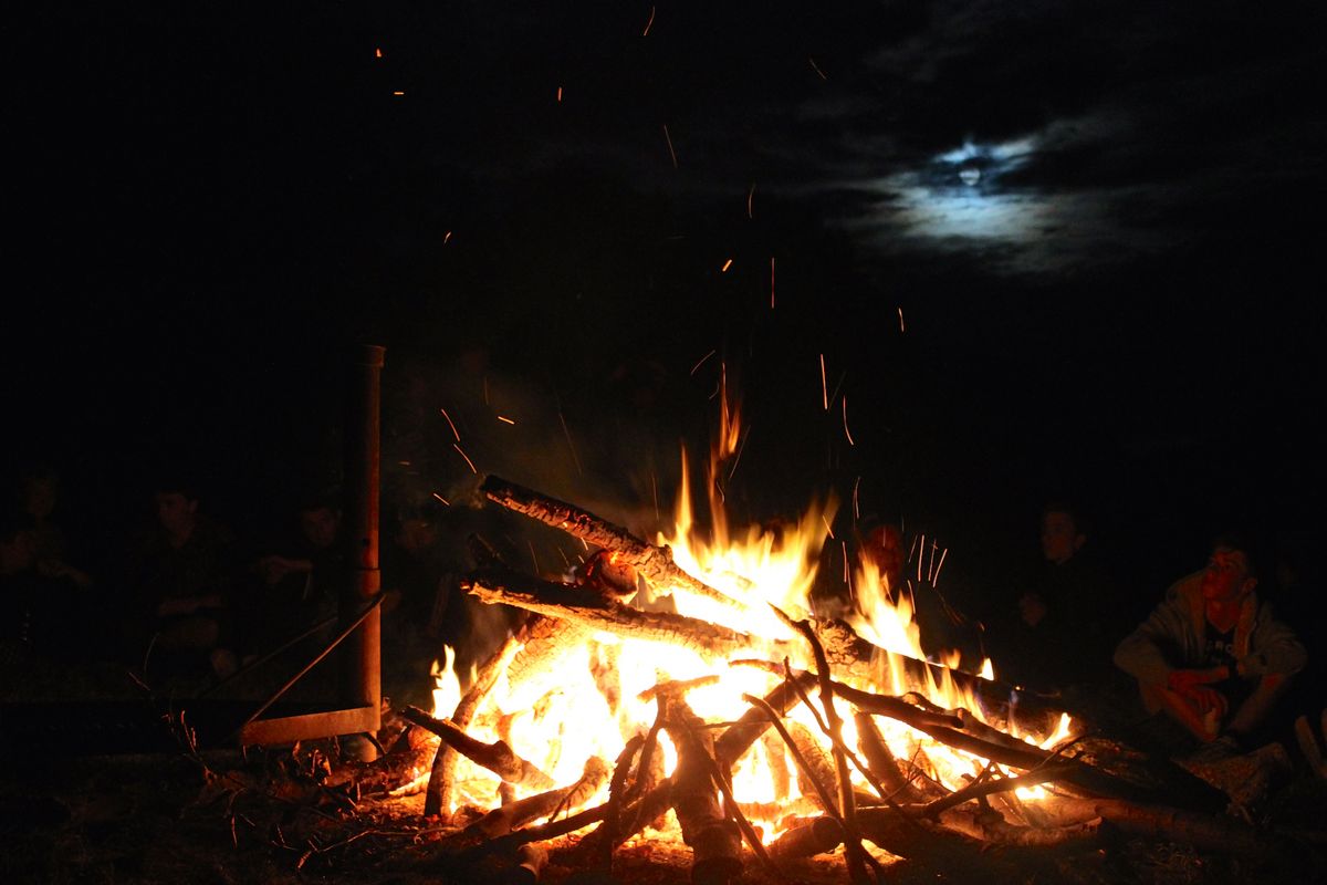 De første billeder fra introuge 2016