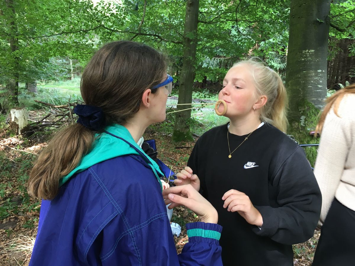 Indtryk fra introturen