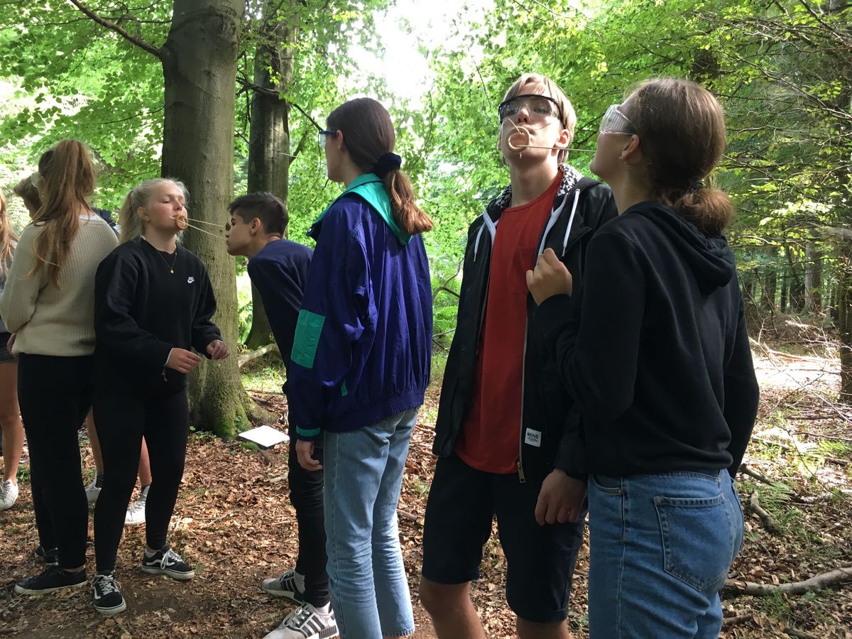 Indtryk fra introturen