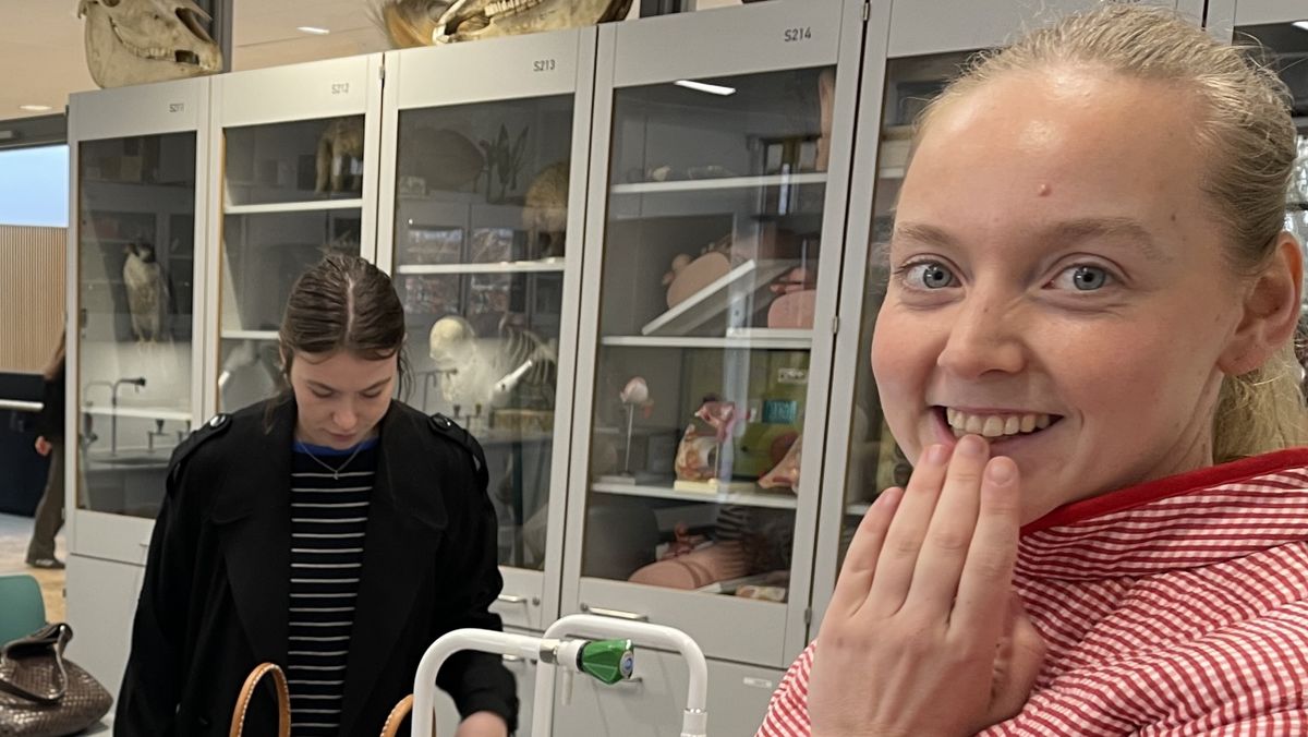 Jordemoder på besøg