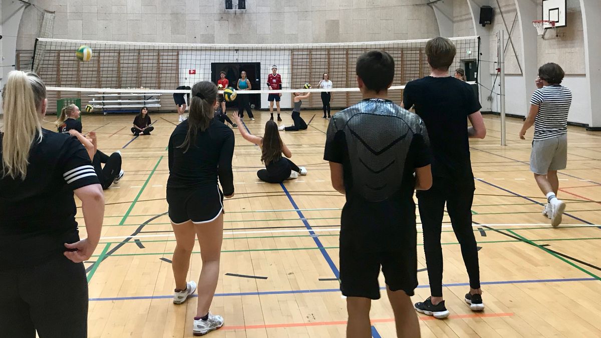 Volleyball