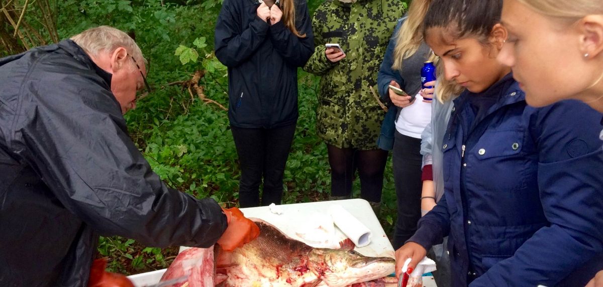 Ekskursion med biologi til Tuelsø