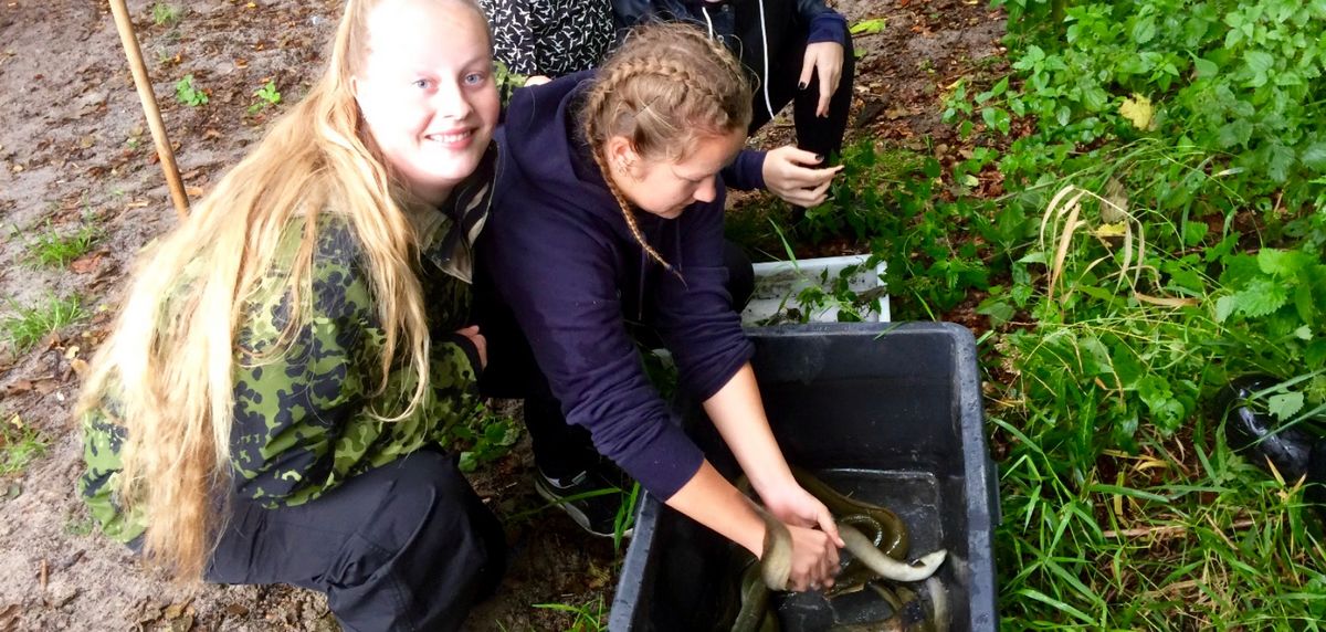 Ekskursion med biologi til Tuelsø
