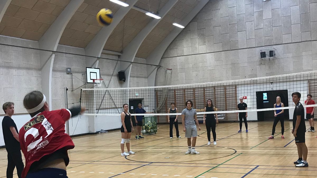 Volleyball