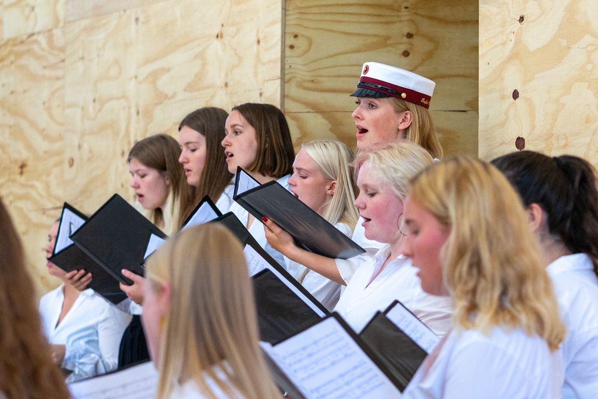 Dimission 2020 - se billederne