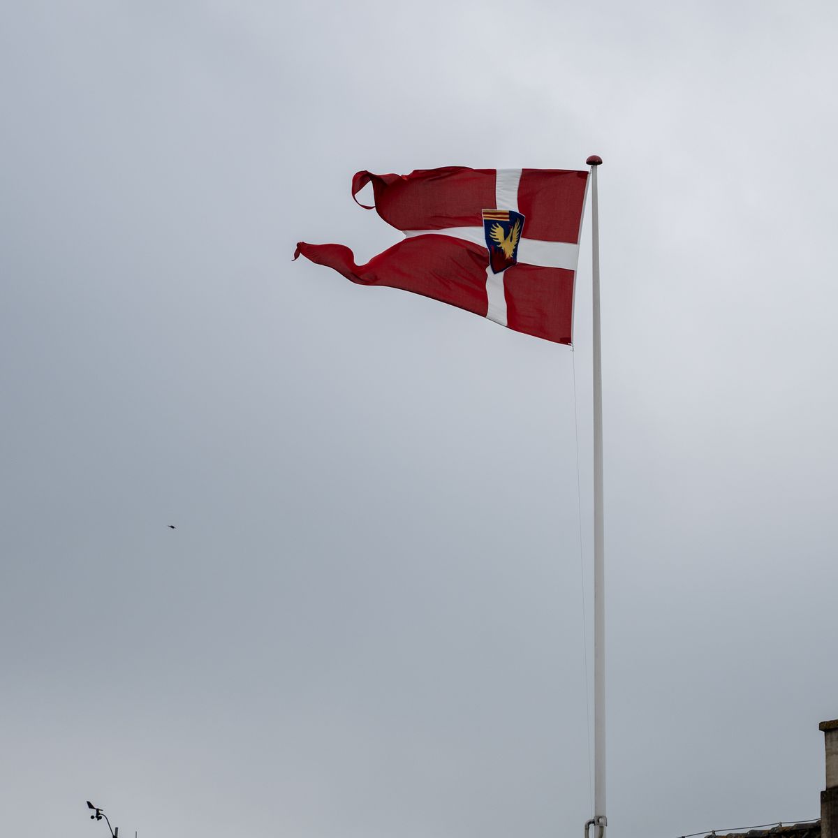 De første studenter 2025